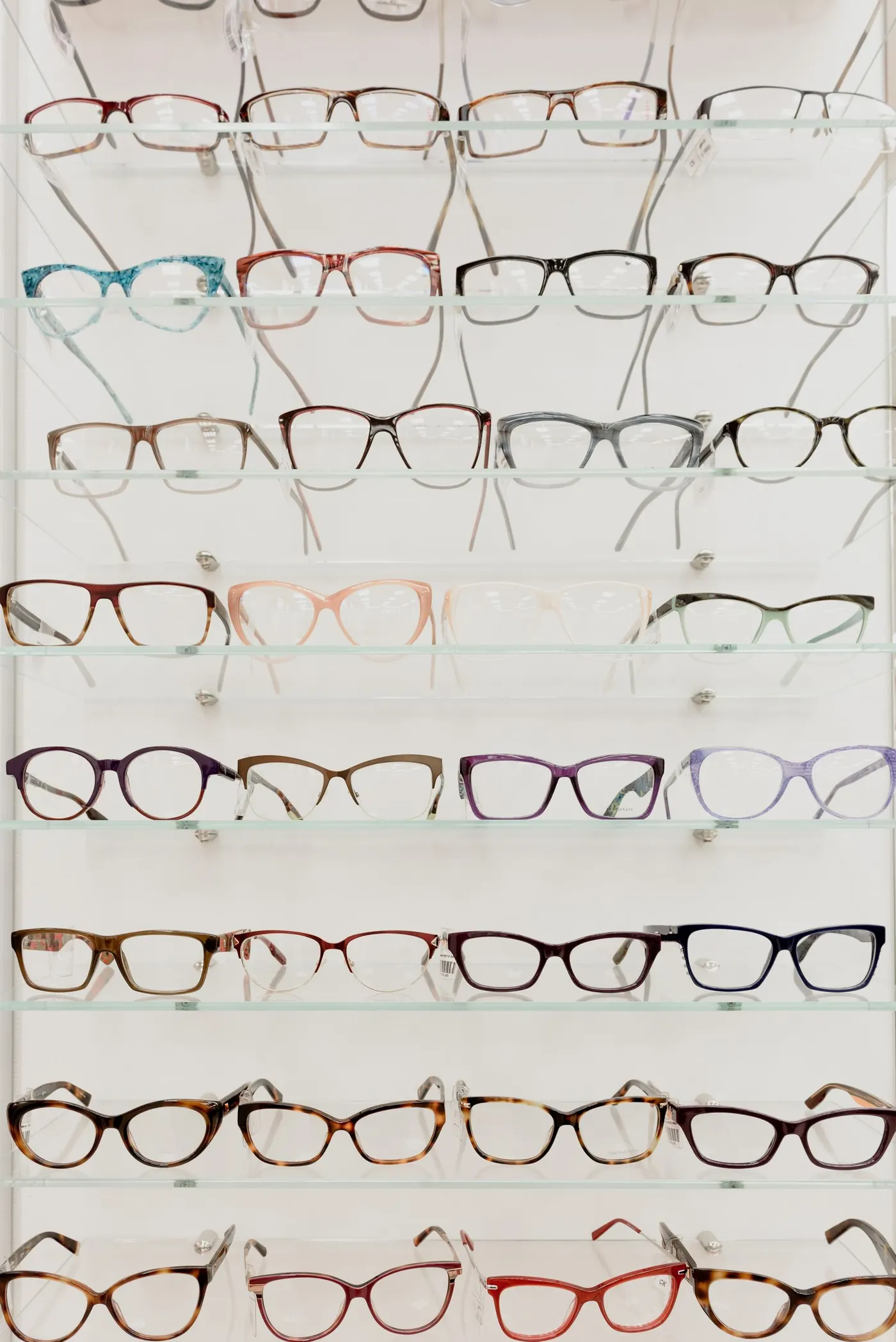 Curated eyewear at Bronx Vision Center optical boutique